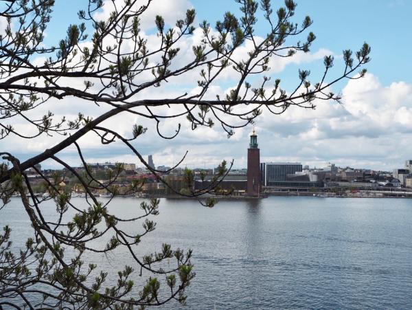 Stadshuset seen from Monteliusvägen