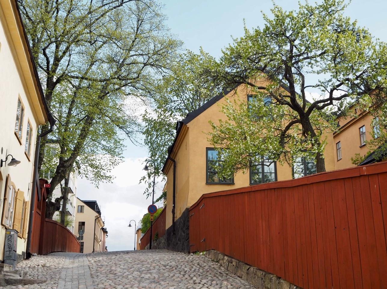 Old houses along Monteliusvägen